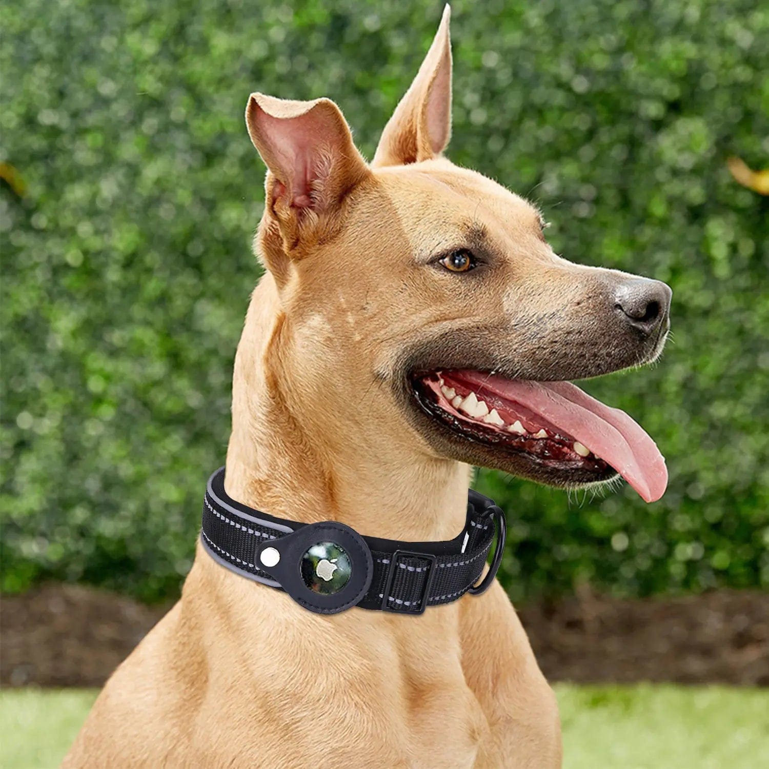 B4 Lifestyles Airtag Dog Collar