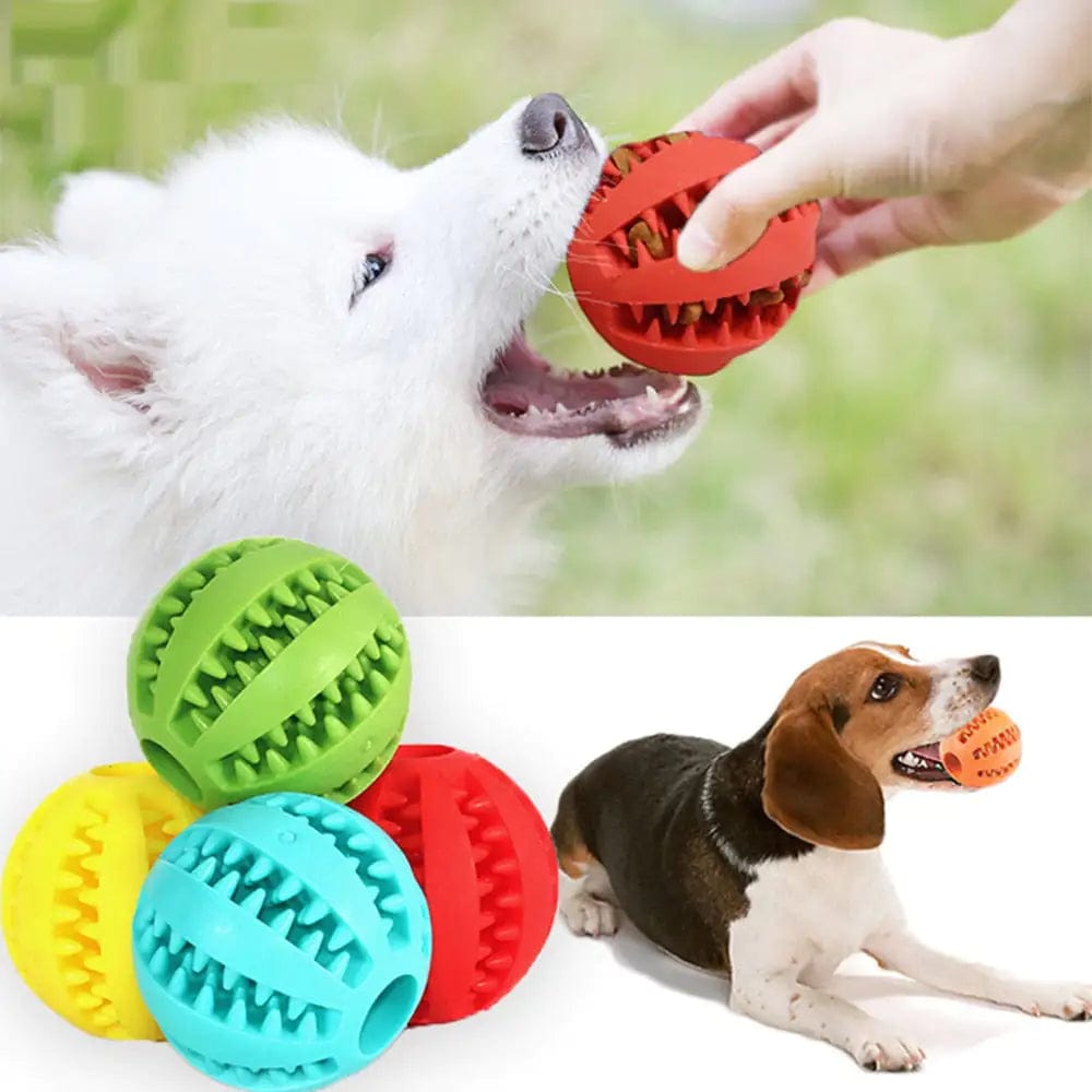 B4 Lifestyles Interactive Pets Rubber Balls