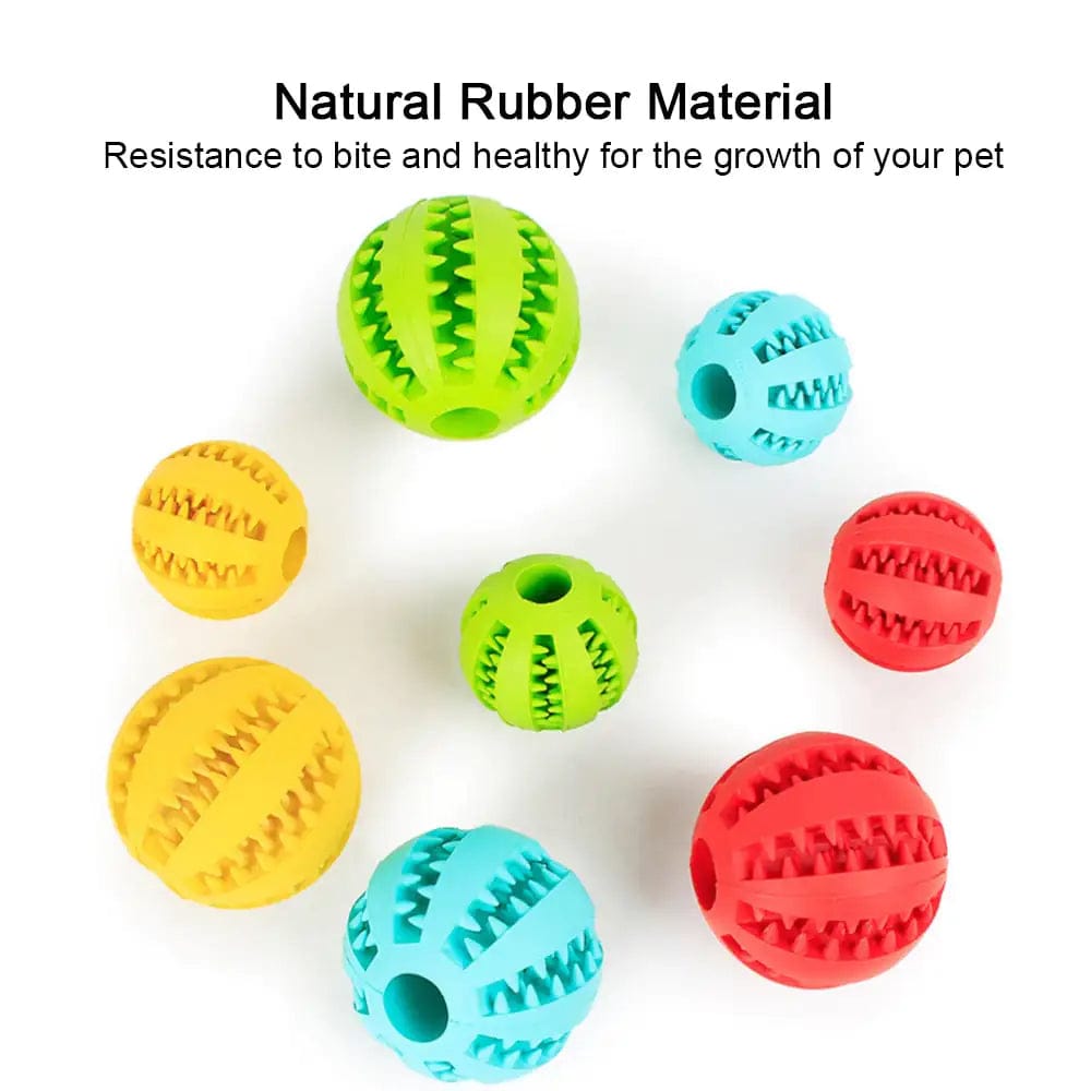 B4 Lifestyles Interactive Pets Rubber Balls