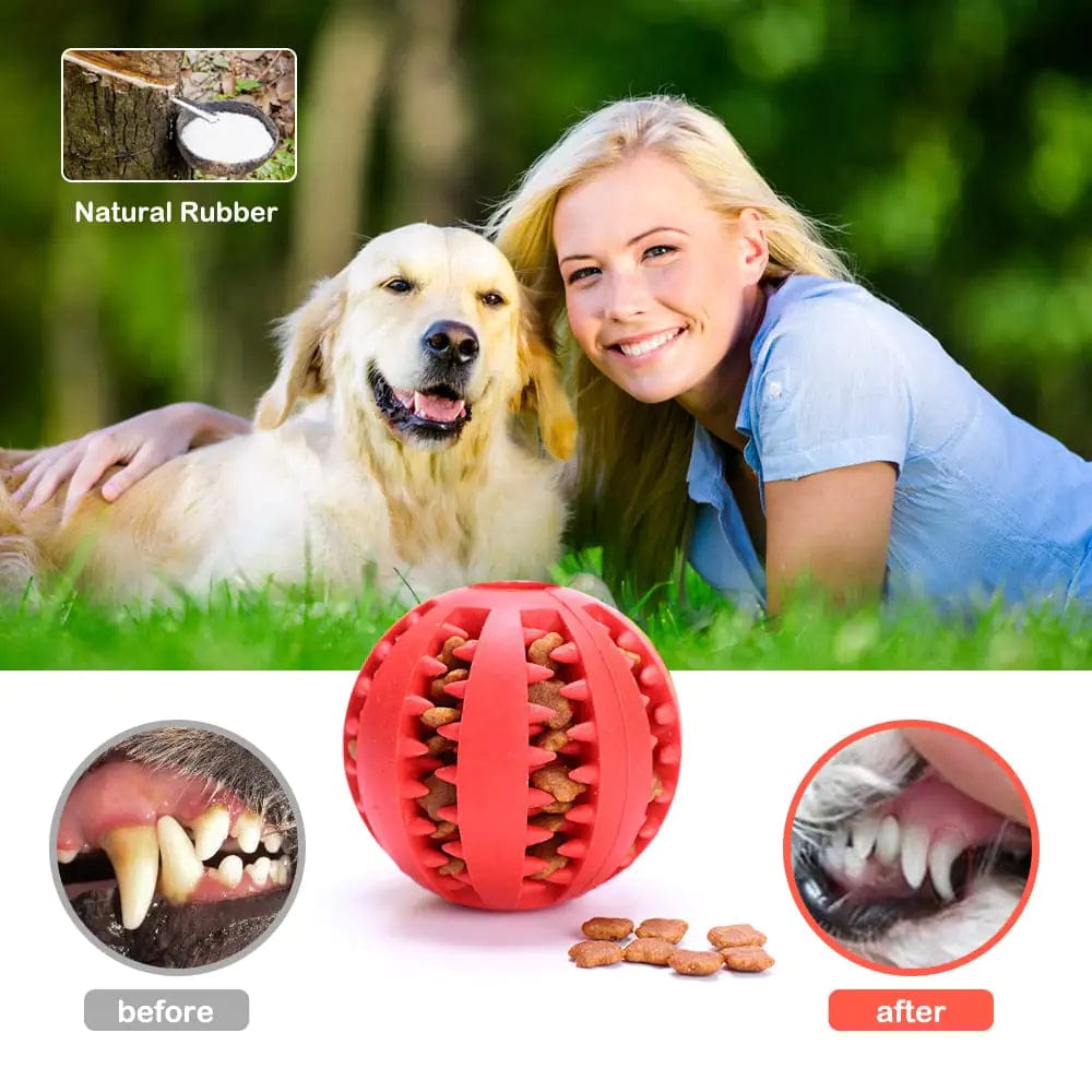 B4 Lifestyles Interactive Pets Rubber Balls