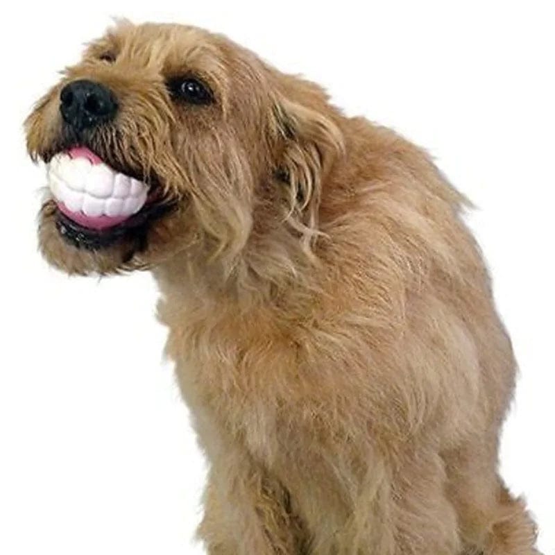 B4 Lifestyles Pet Ball Teeth Silicon Chew Toys for Large Breeds