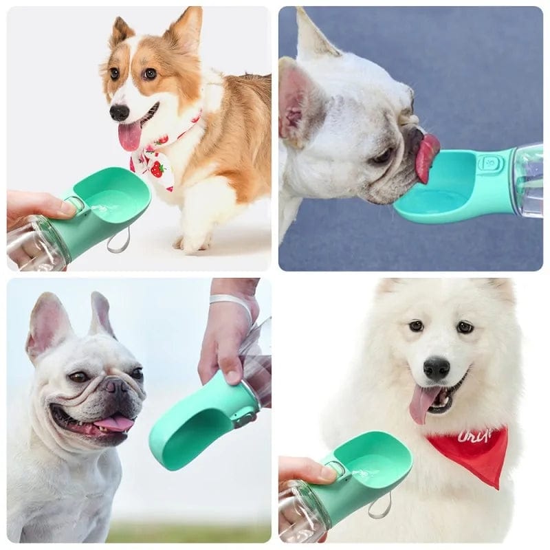 B4 Lifestyles Portable Pet Bottle