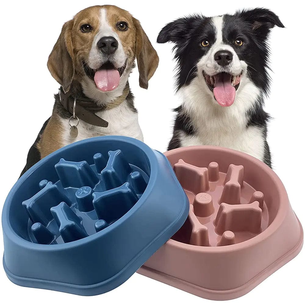 B4 Lifestyles Slow Feeder Bone Design Pet Bowl