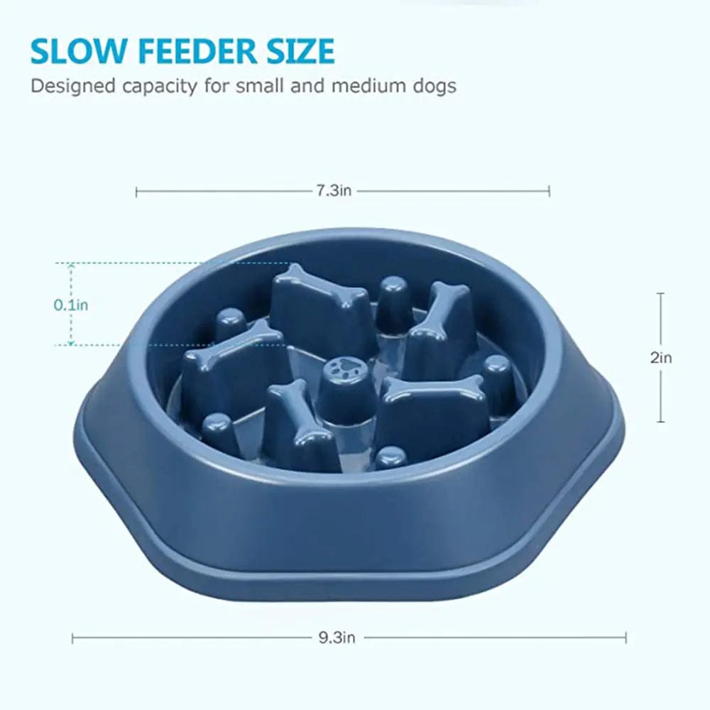 B4 Lifestyles Slow Feeder Bone Design Pet Bowl