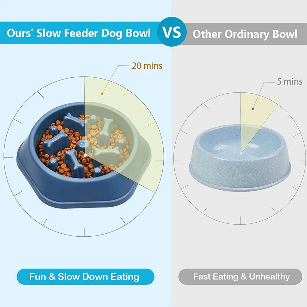 B4 Lifestyles Slow Feeder Bone Design Pet Bowl