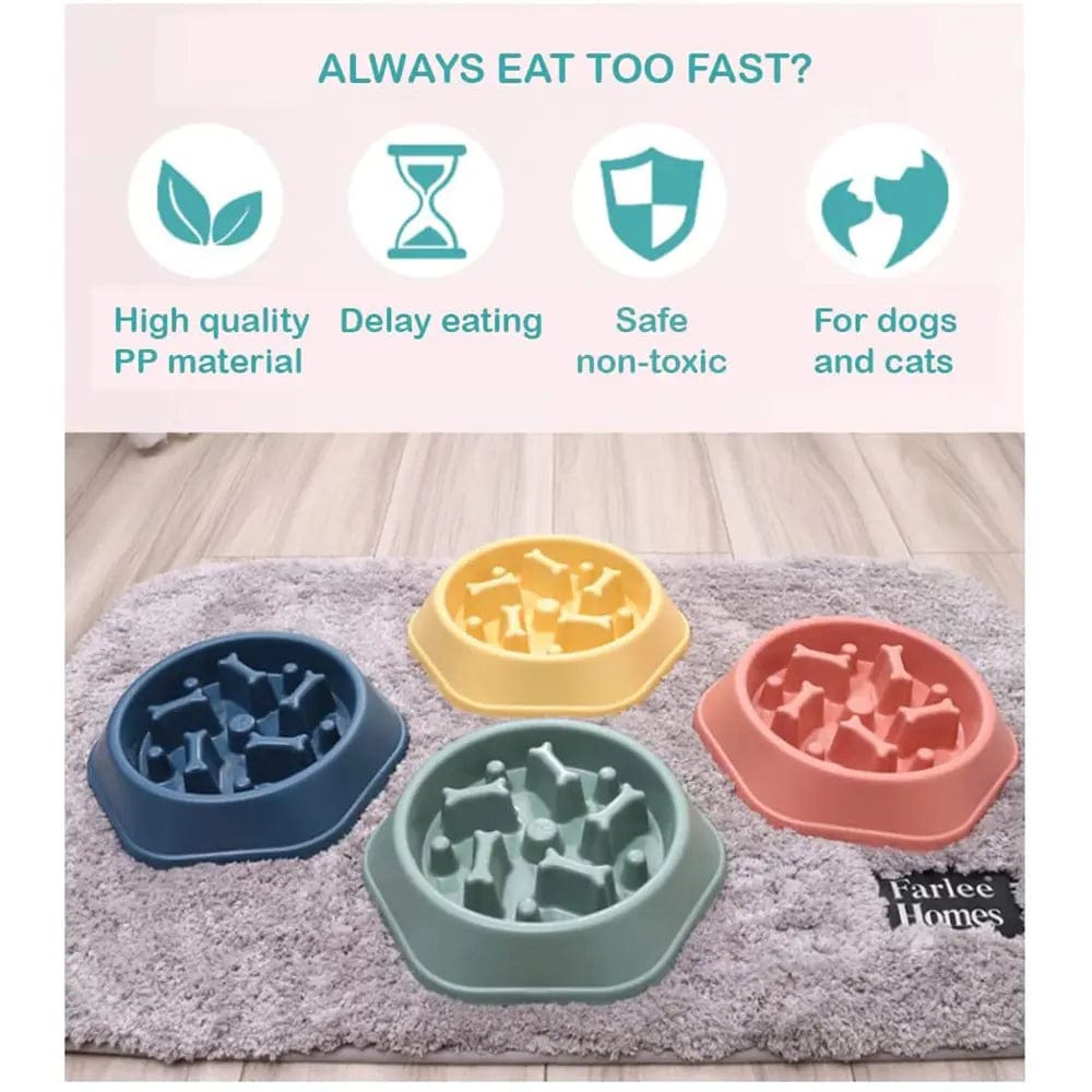 B4 Lifestyles Slow Feeder Bone Design Pet Bowl